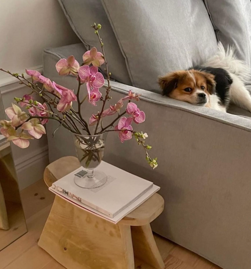 Laurel Huanco Stool