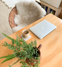 White Sheepskin Rug M-XL